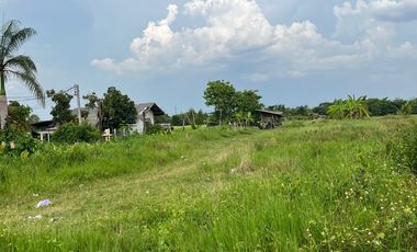 Beautiful Plot of Land for Sale Near Wat San Klang Tai Prime location near the city with scenic rice field views