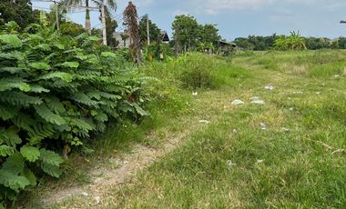 Beautiful Plot of Land for Sale Near Wat San Klang Tai Prime location near the city with scenic rice field views