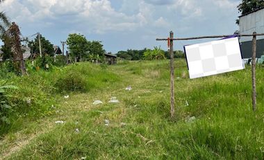 Beautiful Plot of Land for Sale Near Wat San Klang Tai Prime location near the city with scenic rice field views