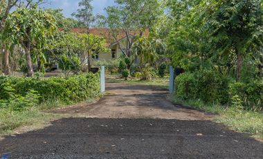 Beautiful 4 bed Cottage Na Suang Det Udom