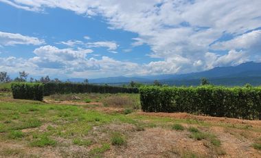 Un terreno de 600 m² cerca de Tarapoto, con agua y luz, te ofrece la posibilidad de crear ese espacio familiar soñado en un entorno único.
