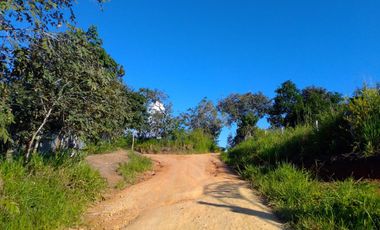 Un terreno de 600 m² cerca de Tarapoto, con agua y luz, te ofrece la posibilidad de crear ese espacio familiar soñado en un entorno único.