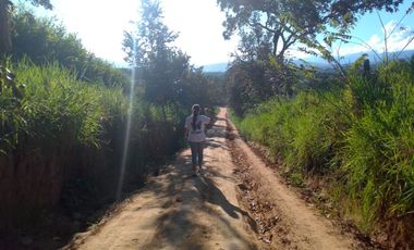 Un terreno de 600 m² cerca de Tarapoto, con agua y luz, te ofrece la posibilidad de crear ese espacio familiar soñado en un entorno único.