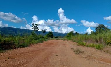 Un terreno de 600 m² cerca de Tarapoto, con agua y luz, te ofrece la posibilidad de crear ese espacio familiar soñado en un entorno único.