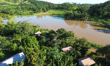 Las Palmas: Un entorno tranquilo con una comunidad en crecimiento y cerca de Tarapoto.