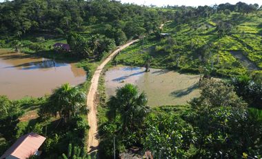 Las Palmas: Un entorno tranquilo con una comunidad en crecimiento y cerca de Tarapoto.