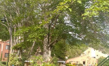 ARRIENDO CASA LAGOS DEL CACIQUE  EXCELENTE SECTOR BUCARAMANGA