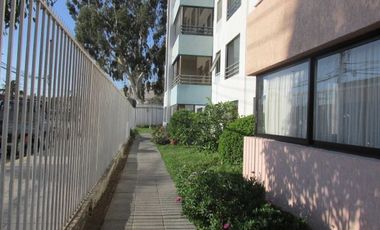 ARRIENDO CONDOMINIO JARDINES DE AZAPA