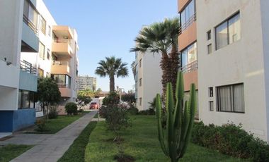 ARRIENDO CONDOMINIO JARDINES DE AZAPA
