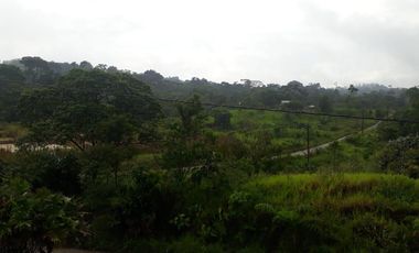 32 Ha en Venta en Shalcana-Napo De Oportunidad