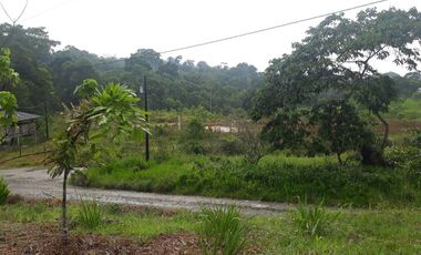 32 Ha en Venta en Shalcana-Napo De Oportunidad