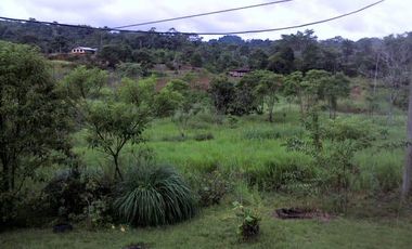 32 Ha en Venta en Shalcana-Napo De Oportunidad