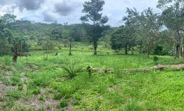 32 Ha en Venta en Shalcana-Napo De Oportunidad