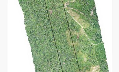 32 Ha en Venta en Shalcana-Napo De Oportunidad