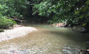 32 Ha en Venta en Shalcana-Napo De Oportunidad