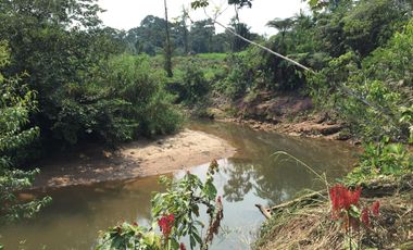 32 Ha en Venta en Shalcana-Napo De Oportunidad