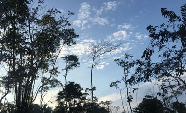 32 Ha en Venta en Shalcana-Napo De Oportunidad