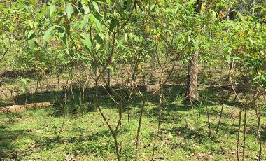 32 Ha en Venta en Shalcana-Napo De Oportunidad