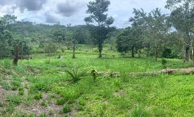 32 Ha en Venta en Shalcana-Napo De Oportunidad
