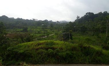 32 Ha en Venta en Shalcana-Napo De Oportunidad