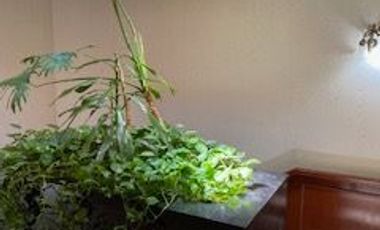 CASA EN VENTA EN ESQUINA EN ESTRELLAS DEL SUR, CON ALBERCA Y 4 RECÁMARAS, ESTUDIO EN PLANTA BAJA, IDEAL PARA FAMILIAS , PUEBLA