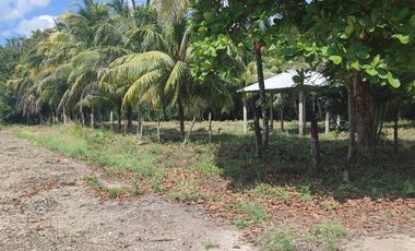 TERRENO EN BACALAR