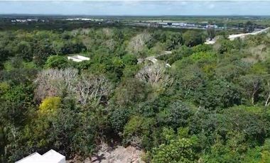 TERRENO EN BACALAR