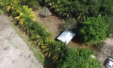 TERRENO EN BACALAR