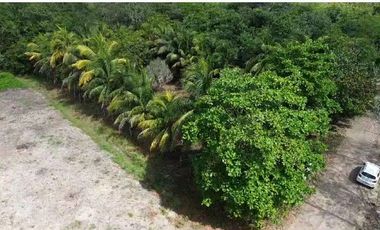 TERRENO EN BACALAR