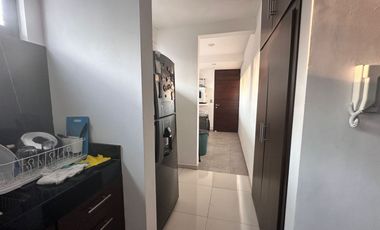 Casa en Renta en Xalapa