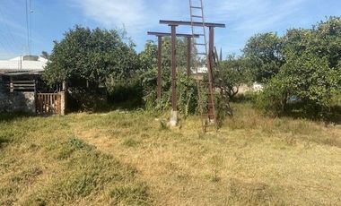 TERRENO EN RENTA EN COLONIA NUEVO MEXICO