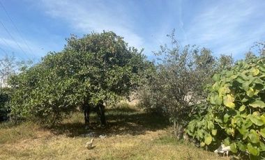 TERRENO EN RENTA EN COLONIA NUEVO MEXICO