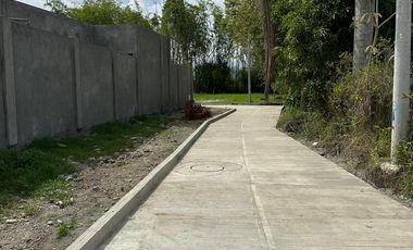 LOTE TULUA CAMPESTRE NARIÑO