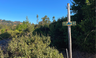 Parcelas en Pichilemu, Con Mucho Espacio Plano