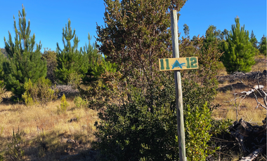 Parcelas en Pichilemu, Con Mucho Espacio Plano