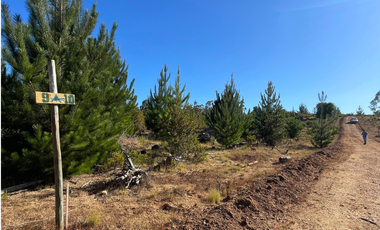 Parcelas en Pichilemu, Con Mucho Espacio Plano