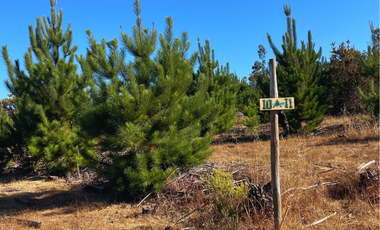 Parcelas en Pichilemu, Con Mucho Espacio Plano