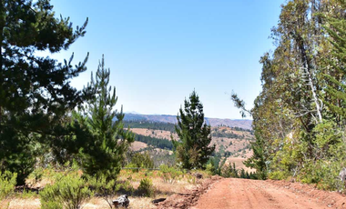 Venta De Parcela En Pichilemu, A 25 Minutos Del Centro