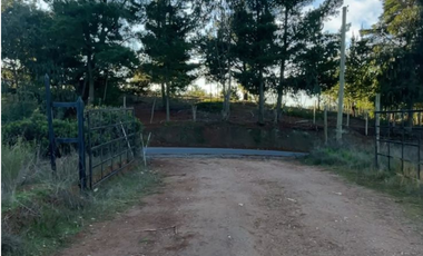 Venta De Parcela En Pichilemu, A 25 Minutos Del Centro