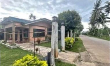 Affordable house in the center of Panglao Bohol