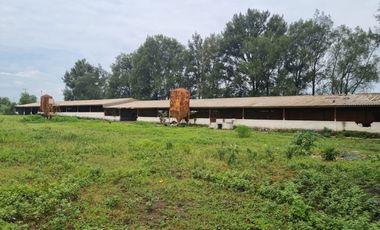 TERRENO EN VENTA EN SANTA LUCIA NEXTIPAC JAL.