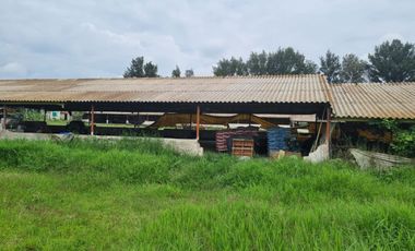 TERRENO EN VENTA EN SANTA LUCIA NEXTIPAC JAL.