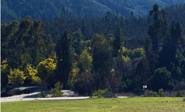 Parcelas Planas y Lomaje En Paredones, San Pedro Alcántara