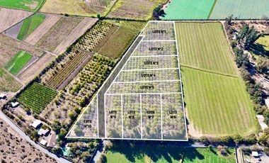 SAN FELIPE - VENDE LOTES DE 5.000m2 - CAMINO CASAS DE QUILPUE