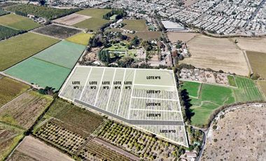 SAN FELIPE - VENDE LOTES DE 5.000m2 - CAMINO CASAS DE QUILPUE