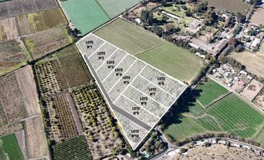 SAN FELIPE - VENDE LOTES DE 5.000m2 - CAMINO CASAS DE QUILPUE