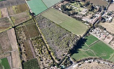 SAN FELIPE - VENDE LOTES DE 5.000m2 - CAMINO CASAS DE QUILPUE