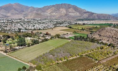 SAN FELIPE - VENDE LOTES DE 5.000m2 - CAMINO CASAS DE QUILPUE