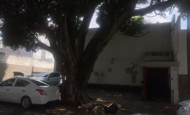 OFICINA E RENTA EN COLONIA AMERICANA