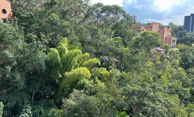Apartamento en Venta poblado sector Provenza Medellin